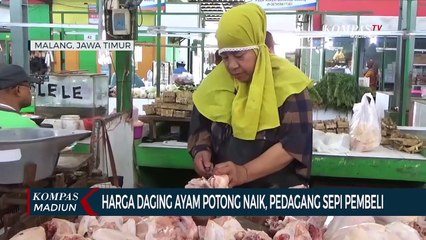 Harga Daging Ayam Potong Naik, Pedagang Sepi Pembeli