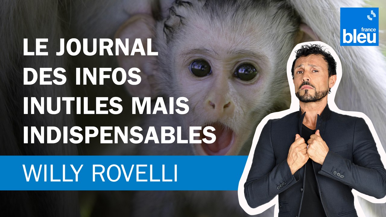 Le journal des infos inutiles mais indispensables - Le billet de Willy Rovelli