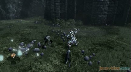 Fable III : Hommes creux