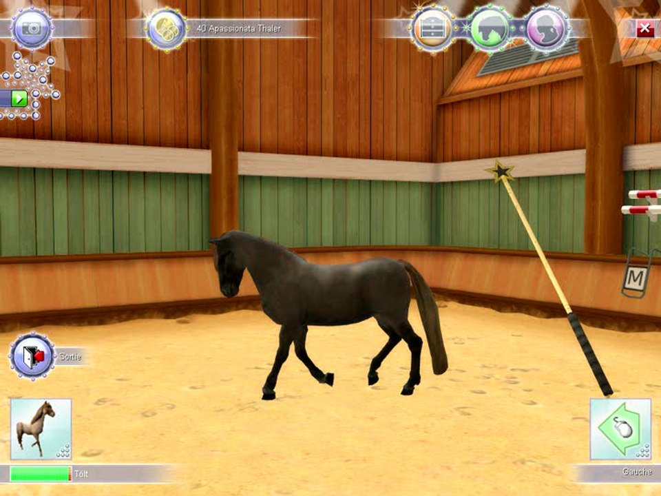 Apassionata : Le Gala Equestre : Tour d'horizon