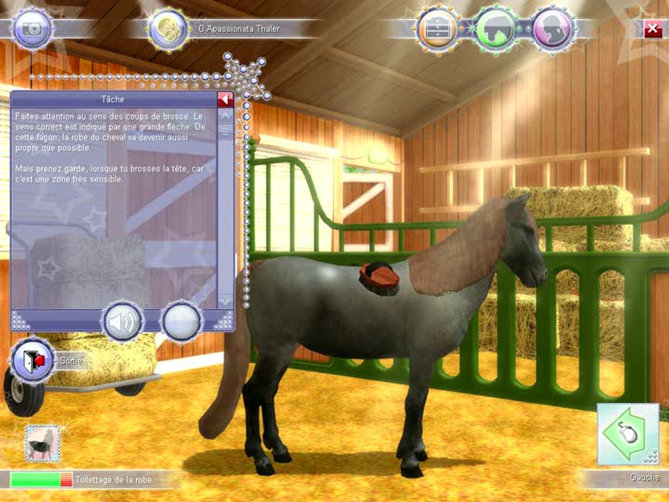 Apassionata : Le Gala Equestre : Toilettage