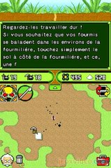 Ant Nation : Carré de sucre