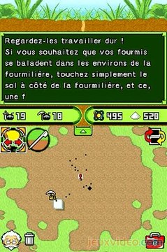 Ant Nation : Carré de sucre