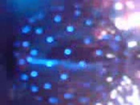 Jenifer le 07/03/08 au zenith de Lille 1