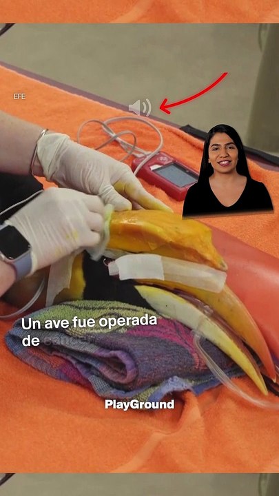 Una impresora 3D y un grupo de expertos le dier...