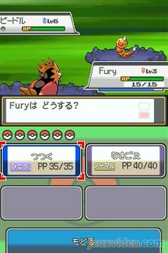 Pokémon Version Or : HeartGold : Promenons-nous dans les bois