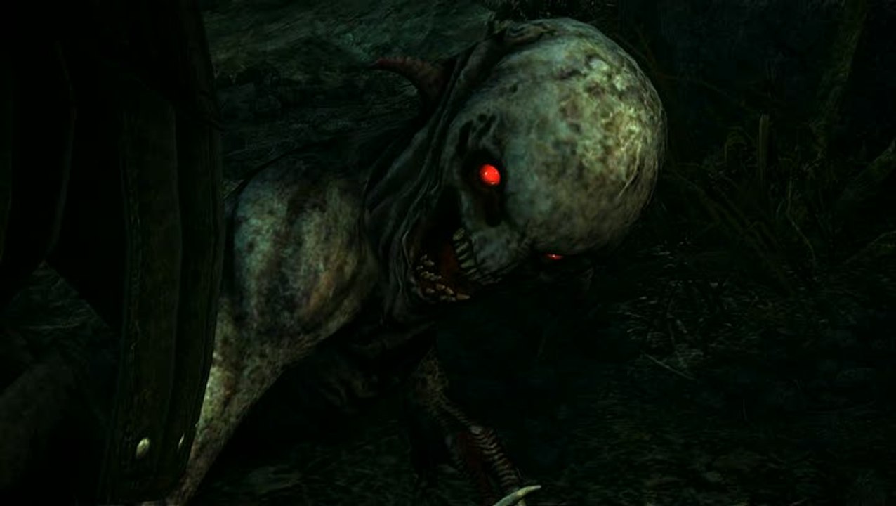 The Witcher 2 : Assassins of Kings : Pré-commande et éditions spéciales