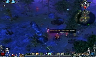 Dawn of Magic 2 : Balade en terre hostile
