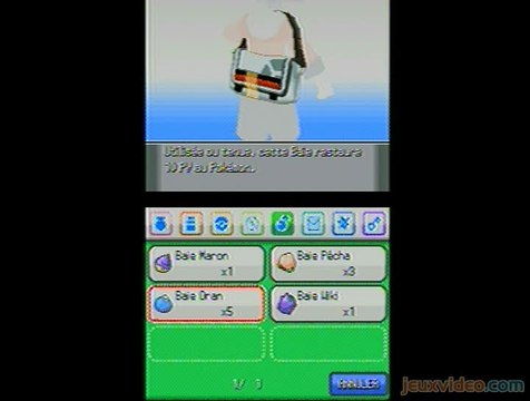 Pokémon Version Or : HeartGold : 2/3 : Interface