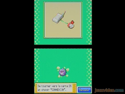 Pokémon Version Or : HeartGold : 1/3 : Pokéwalker