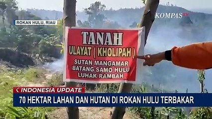 70 Hektar Hutan Rokan Hulu Terbakar, Akses dan Cuaca Panas Ekstrem Pemicu Sulitnya Pemadaman Api
