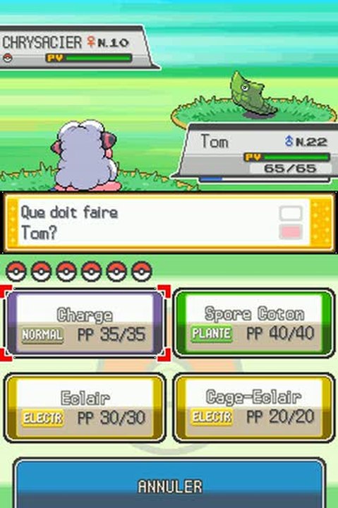 Pokémon Version Or : HeartGold : Parc Naturel