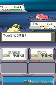 Pokémon Version Or : HeartGold : Un combat