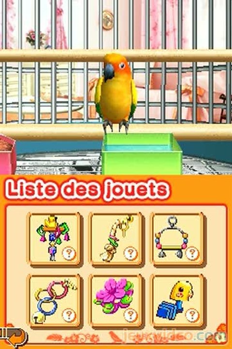 Mon Ami le Perroquet : Comme il est mignon