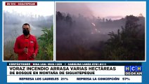 ¡Lamentable! Voraz incendio arrasa bosques en montaña de Siguatepeque