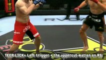 EA Sports MMA : Techniques debout