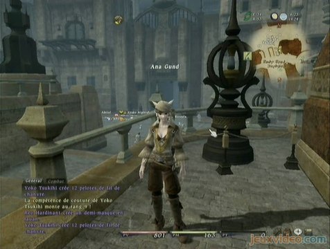 Final Fantasy XIV Online : 1/3 : Introduction