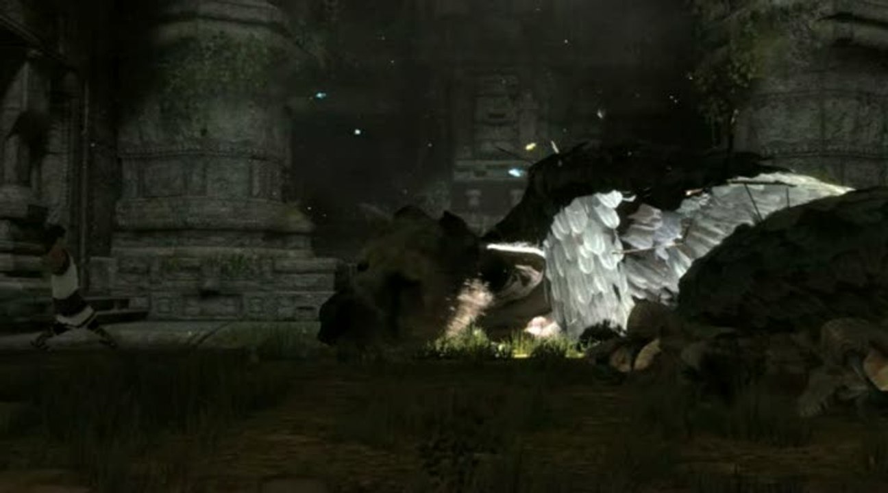 The Last Guardian : Trailer TGS 2009