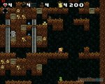 Spelunky : Premier niveau