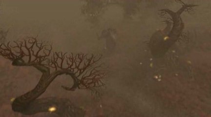 Sacred 2 : Fallen Angel - Ice & Blood : Forêt Maudite