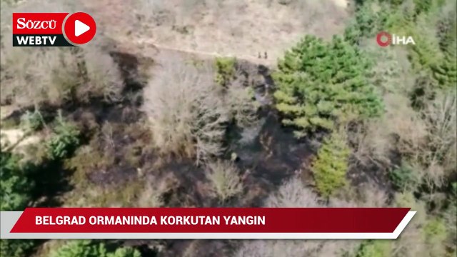 Belgrad ormanında korkutan yangın