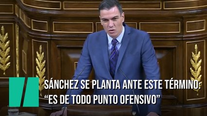 Sánchez pide que se retire un término del acta del Pleno