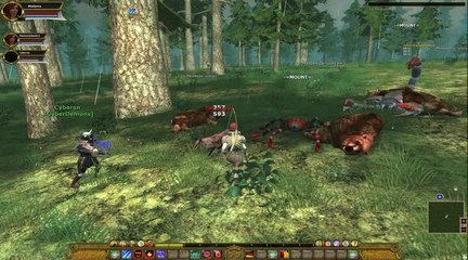Craft of Gods : Forêt