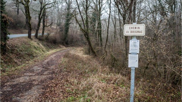FEMME ACTUELLE - Affaire Jubillar : cet obstacle auquel se heurtent les enquêteurs pour retrouver le corps de Delphine