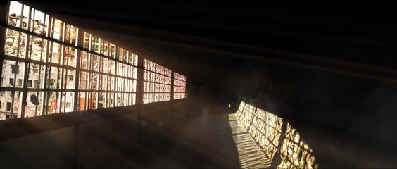 The Calm Beyond - Official Trailer