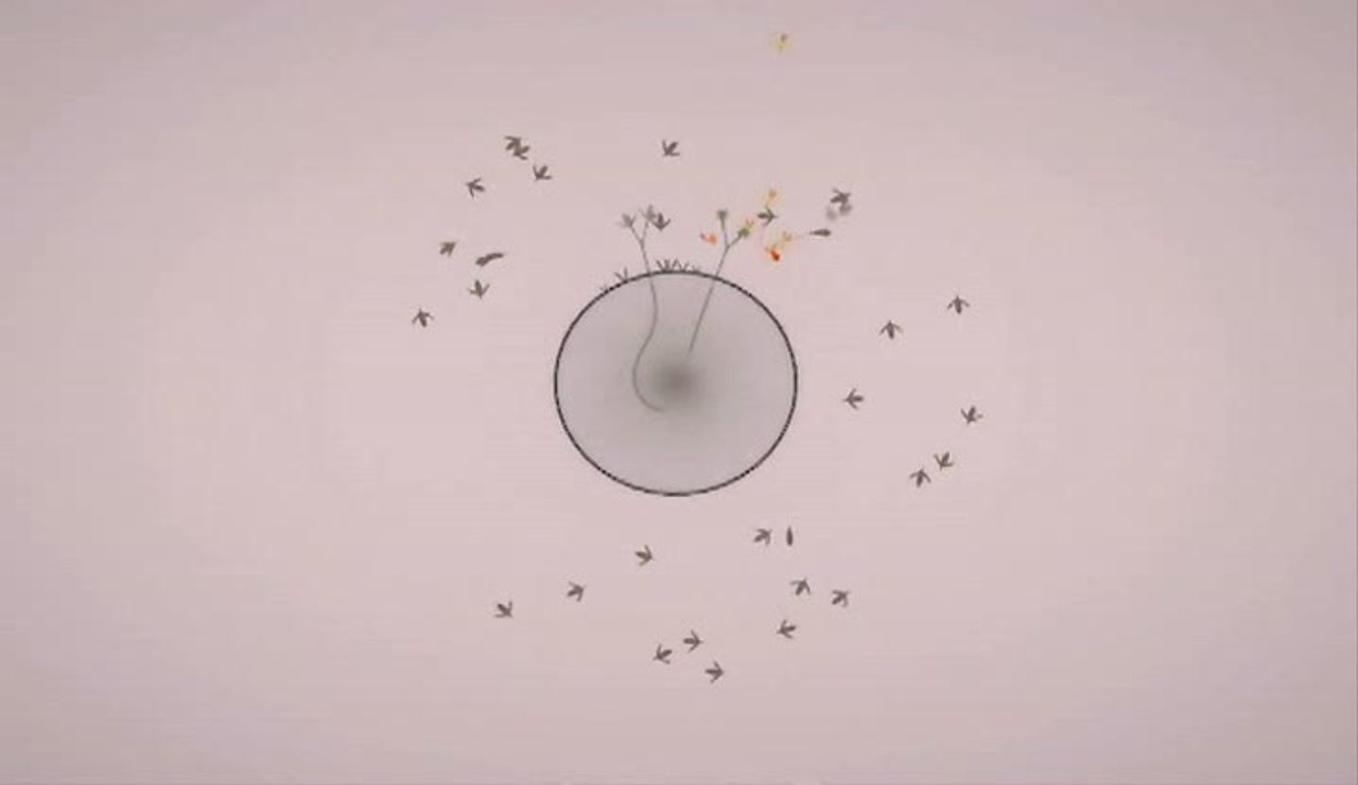 Eufloria : Teaser musical