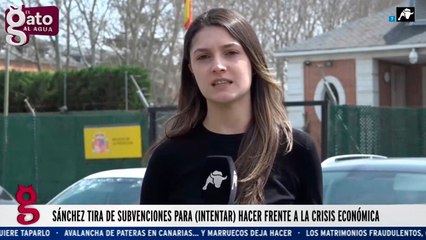 Sánchez tira de subvenciones para (intentar) hacer frente a la crisis económica