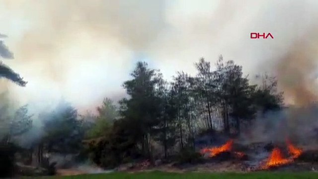 Orman yangınları yeniden mi başladı: Mersin'de alevler var