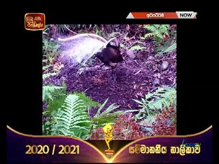 Atapattama 2022.03.30