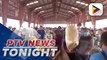 Benguet farmers suffering from vegetable smuggling; DA, BOC launch investigation on smuggled agri products