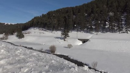 Göçmen kuşlar, Kars'a gelmeye başladı
