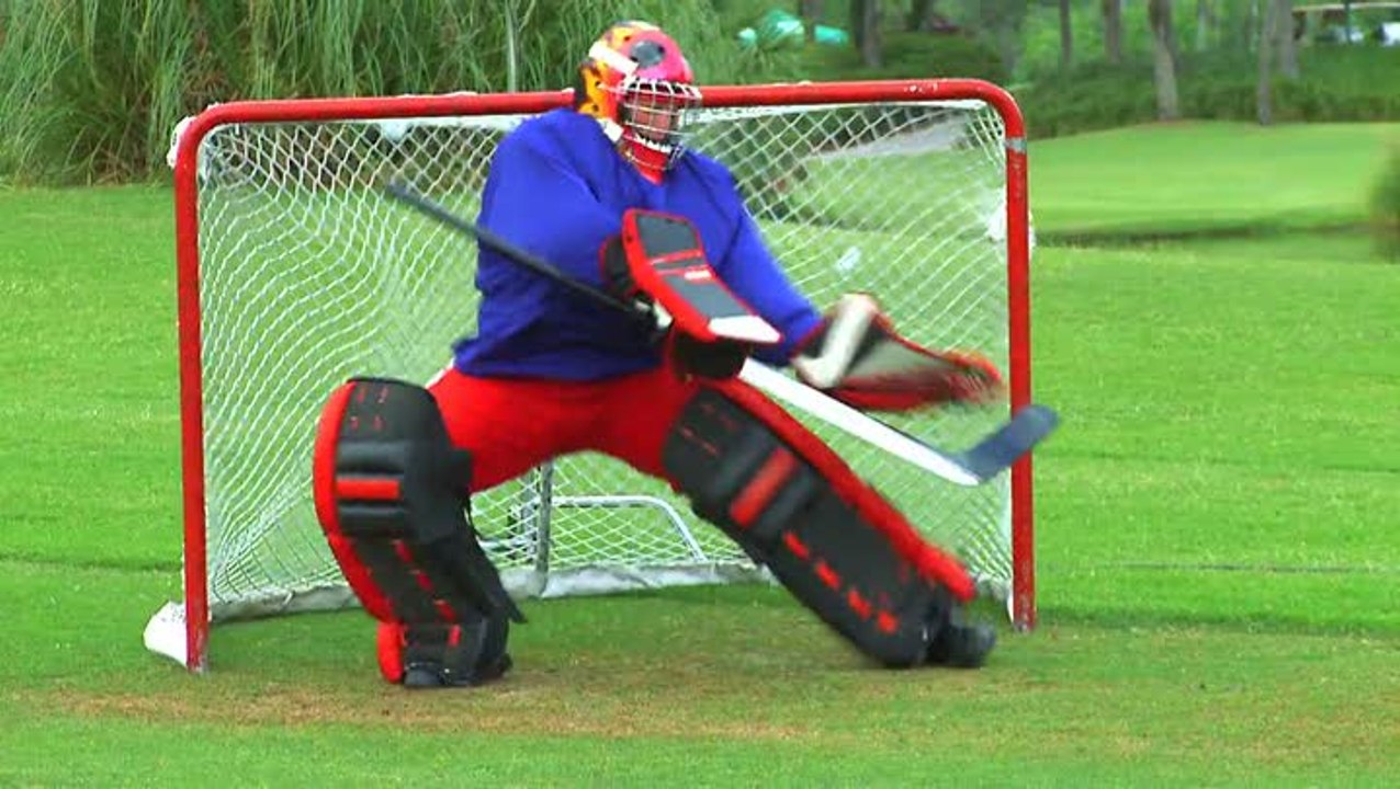 Tiger Woods PGA Tour 11 : Le Golf / Hockey