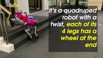 This Prototype Robot Can ‘Drive,’ Transform and Even Stand Up