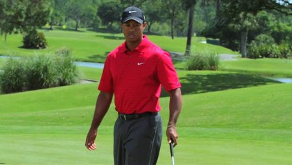 Tiger Woods PGA Tour 11 : Le Golf / Foot