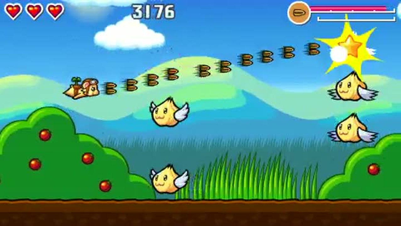 Flying Hamster : Leçon 2 : Graines de Tournesol