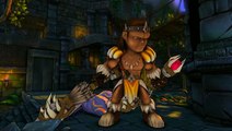 Dungeon Defenders : Le barbare