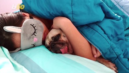 Have a Good Morning With These Productive Morning Tips