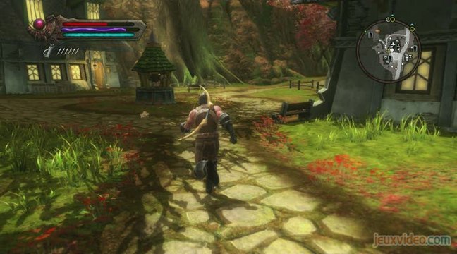 Les Royaumes d'Amalur : Reckoning : 1/2 : Un RPG ouvert et coloré