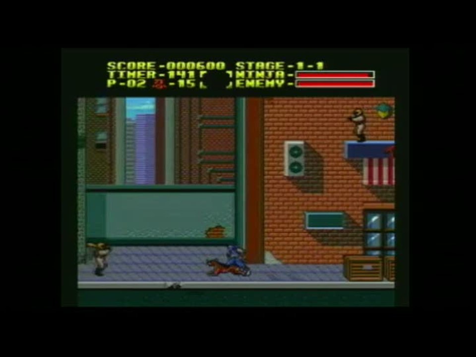 Shadow Warriors : Introduction