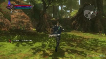 Les Royaumes d'Amalur : Reckoning : 1/3 : Ballade champêtre