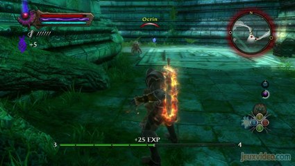 Les Royaumes d'Amalur : Reckoning : Expédition nocturne