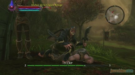 Les Royaumes d'Amalur : Reckoning : 2/2 : A chacun sa façon de jouer