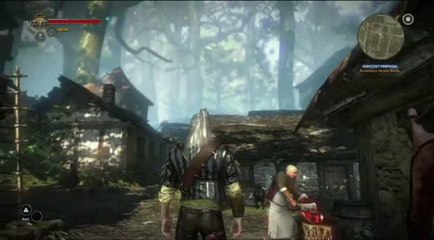 The Witcher 2 : Assassins of Kings : Gameplay n°2 : un monde vivant