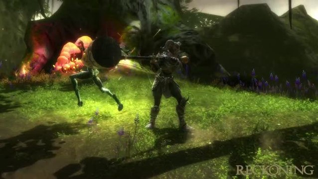 Les Royaumes d'Amalur : Reckoning : Combat, animation, collaboration...