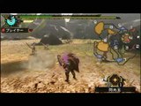 Monster Hunter Portable 3rd : Combats et armes