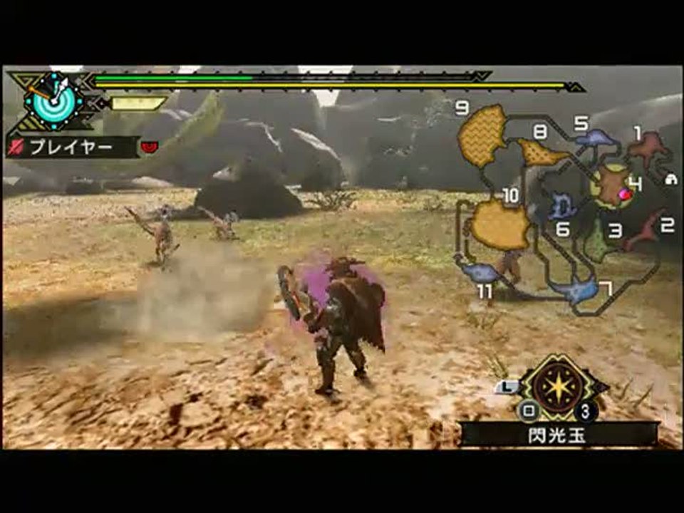 Monster Hunter Portable 3rd : Combats et armes